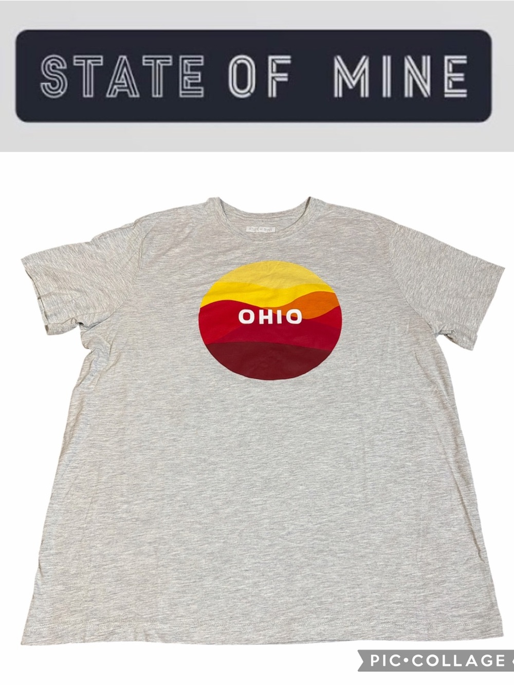 State of Mine Ohio Graphic T-Shirt Gray XXL